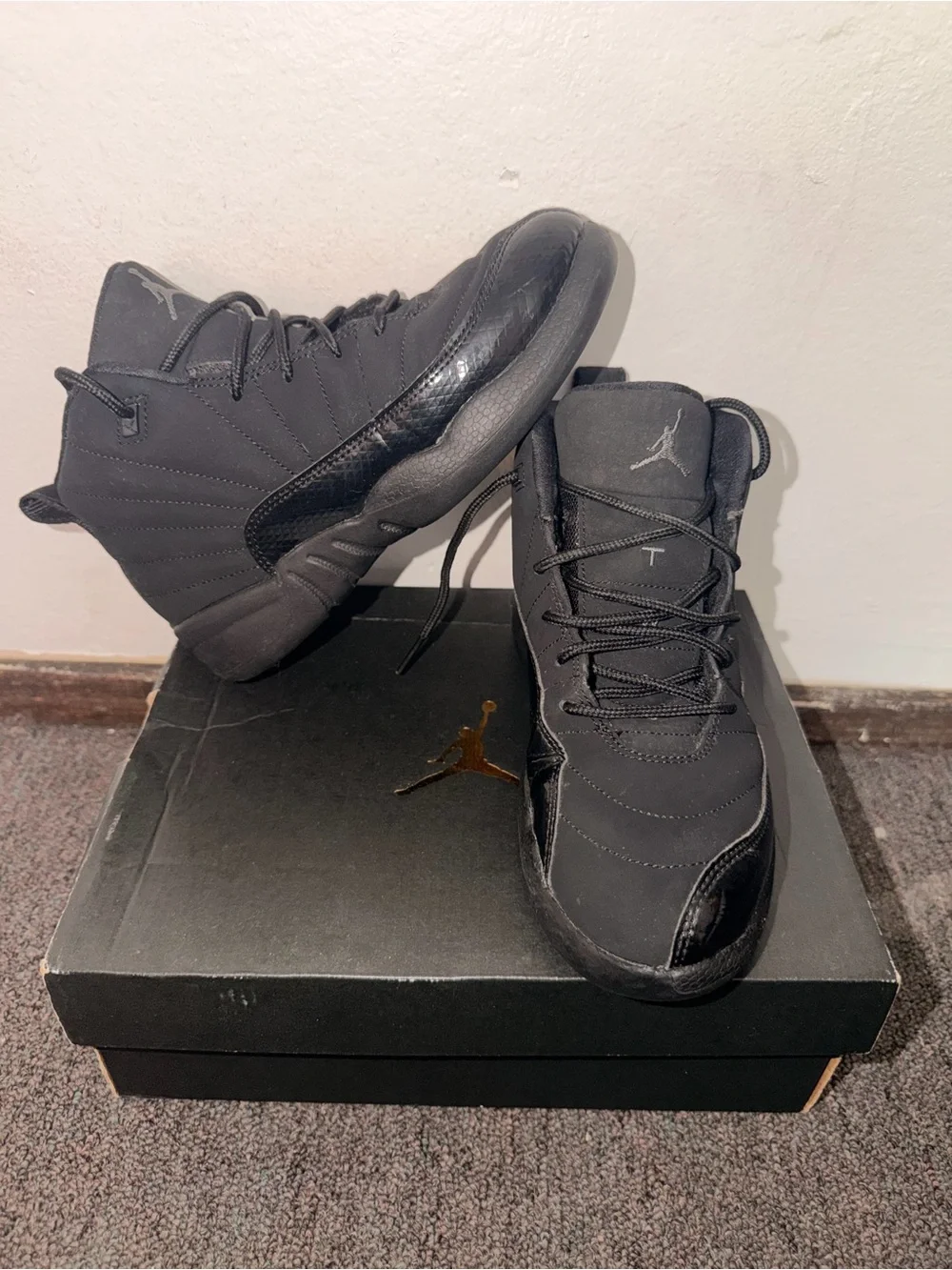 Jordan 12 black